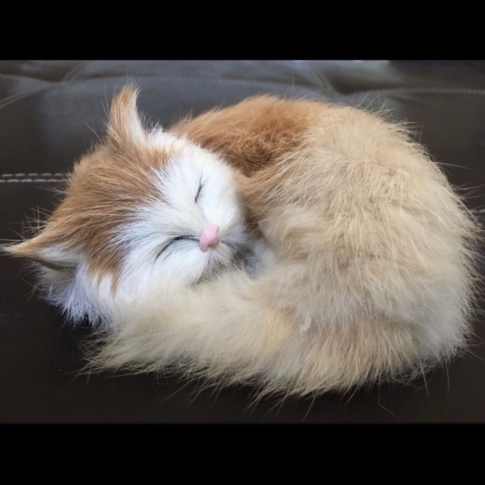 Cat collection - Picture 6 of 7